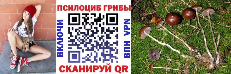 Псилоцибиновые грибы мицелий Черноголовка