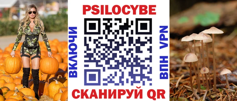 Псилоцибиновые грибы Psilocybine cubensis  Черноголовка 